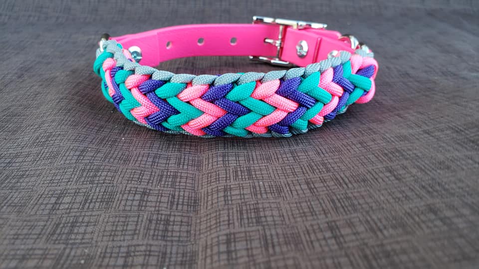 Adjustable Buckle Collar, 1 1/2 Wide Biothane and Paracord