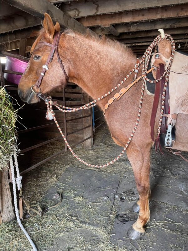 Product image of Mecate Reins