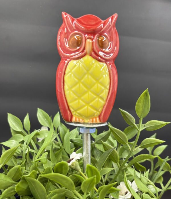 Product image of Owl plant pick