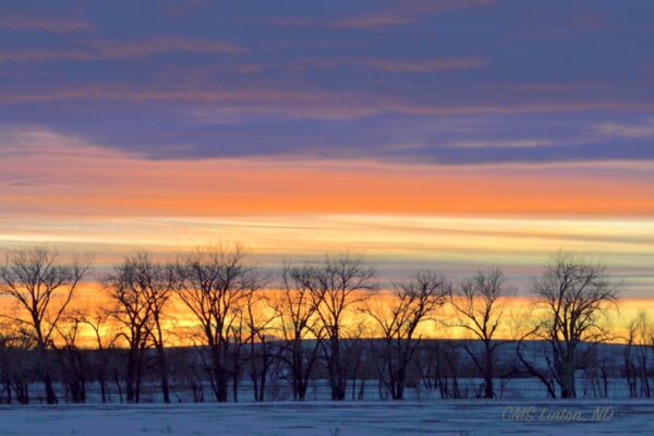 Product image of ND Christmas/Winter Photo Notecards #2