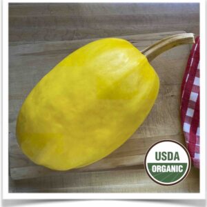 Product image of Squash: Spaghetti