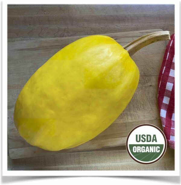 Product image of Squash: Spaghetti