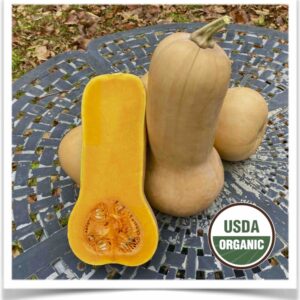 Product image of Squash: Waltham Butternut