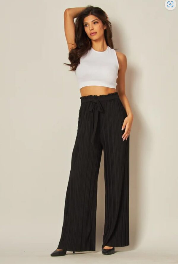 Product image of Pleated Wide Leg Pant – 6 Colors!